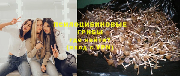тгк Алексеевка