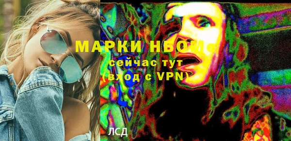 apvp Алзамай