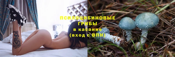 apvp Алзамай