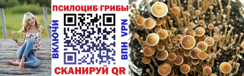 Псилоцибиновые грибы Magic Shrooms  Купить где  Томск 